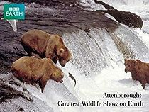 Watch The Greatest Wildlife Show on Earth