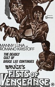 Watch Bruce's Fists of Vengeance
