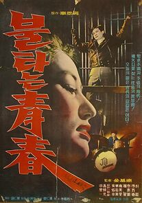 Watch Bultaneun cheongchun