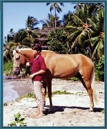 Watch Cristobalito, the Calypso Colt