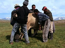 Watch Un été silencieux