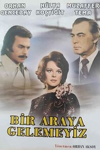Watch Bir Araya Gelemeyiz