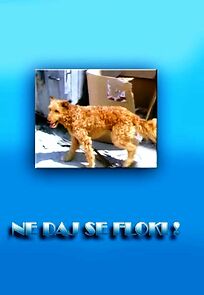 Watch Ne daj se, Floki!