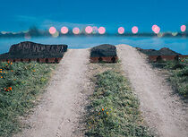 Watch Ride or Die (Short 2018)