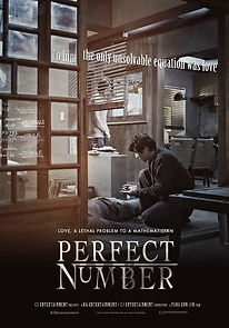 Watch Perfect Number