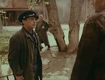 Watch Tvoy brat - moy brat