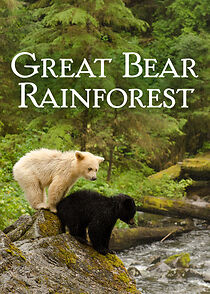 Watch Great Bear Rainforest (Short 2019)