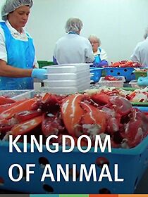 Watch Kingdom of Animal