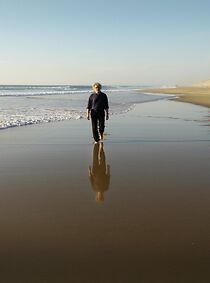 Watch The Longing of Michael Dudok De Wit