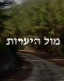 Watch Facing the Forest