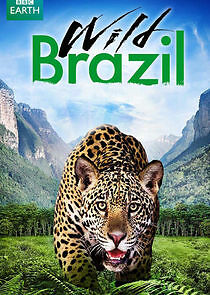 Watch Wild Brazil