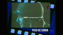 Watch Pozo de zorro