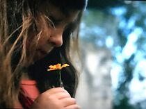 Watch Aurora (Short 2014)