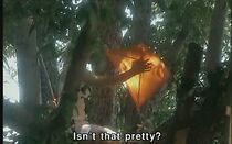 Watch Zanav Shel Afifon