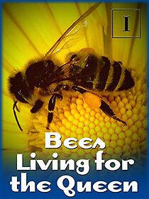 Watch Bees: A Life for the Queen