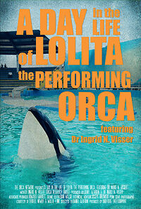 Watch A Day in the Life of Lolita the Performing Orca, featuring Dr. Ingrid N. Visser (Short 2014)