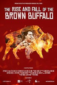 Watch The Rise and Fall of the Brown Buffalo
