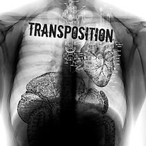 Watch Transposition (Short 2010)
