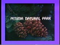 Watch Petunia Natural Park (Short 1939)