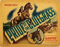 Watch Pride of the Blue Grass