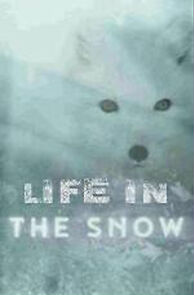 Watch Life in the Snow