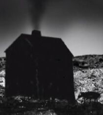 Watch Bug Crawls (Short 2004)