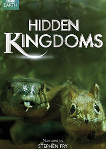 Watch Hidden Kingdoms