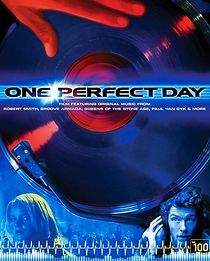 Watch One Perfect Day