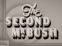 Watch The Second Mr. Bush