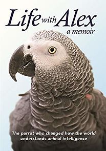 Watch Life with Alex