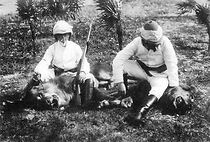 Watch Lion Hunting (Short 1907)