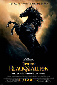 Watch The Young Black Stallion