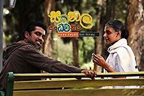 Watch Butterfly Symphony