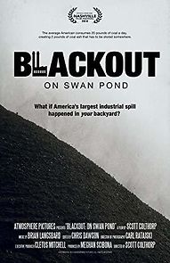 Watch Blackout: On Swan Pond