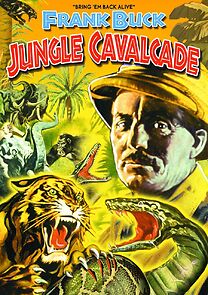 Watch Jungle Cavalcade