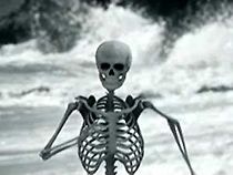 Watch The Killers: Bones