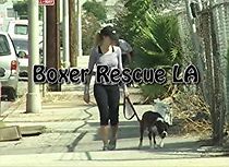 Watch Boxer Rescuers LA