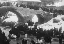 Watch Proslava na vodici vo ber (Short 1905)