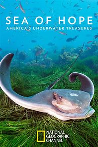 Watch Sea of Hope: America's Underwater Treasures