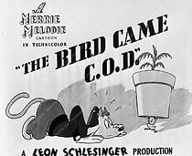 Watch The Bird Came C.O.D. (Short 1942)