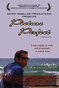 Watch Picture Perfect