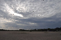 Watch Sustainable Biodiesel Processing Plant in Bali (Short 2014)