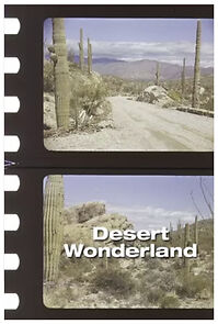Watch Desert Wonderland (Short 1942)