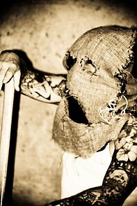 Watch T is for Terence (Short 2011)