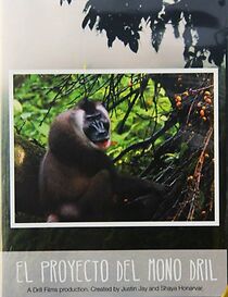 Watch The Drill Project