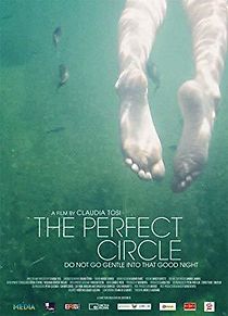 Watch The Perfect Circle