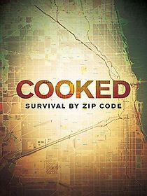 Watch Cooked: Survival by Zip Code