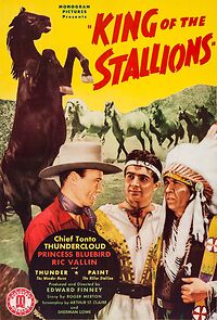 Watch King of the Stallions