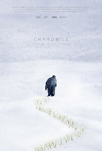 Watch Chamomile (Short 2012)