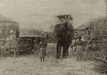 Watch The Ghost of the Jungle (Short 1916)